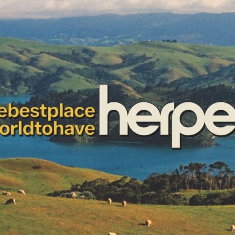 Διαφημιστική καμπάνια της Νέας Ζηλανδίας να γίνει η χώρα «το καλύτερο μέρος στον κόσμο για να έχεις έρπητα» κερδίζει κορυφαίο βραβείο στις Κάννες