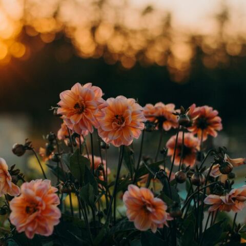 Εορτολόγιο: Σήμερα 26 Ιουνίου 2025 γιορτάζει…