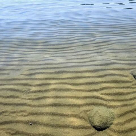 Ιούνιος: Ο πρώτος μήνας του καλοκαιριού