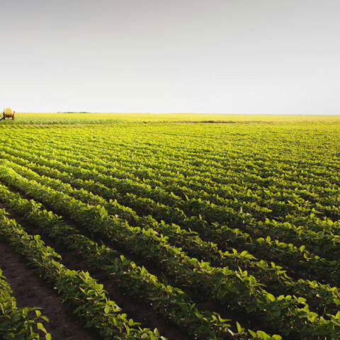 ΟΠΕΚΕΠΕ: Αφού τα ίδια έκαναν και οι προηγούμενοι, δεν πειράζει