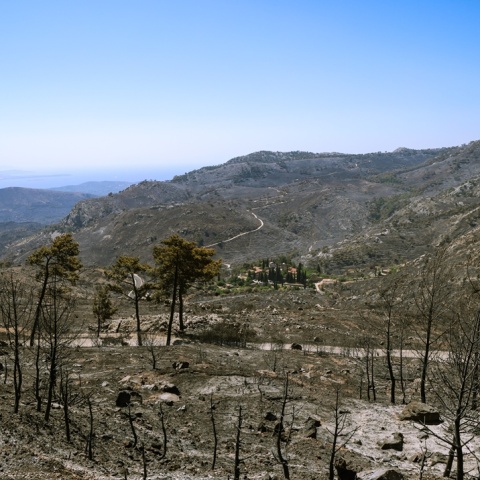 Καμένη έκταση από τη φωτιά στη Χίο