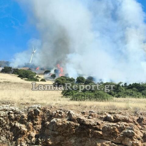 Φωτιά τώρα στη Φωκίδα