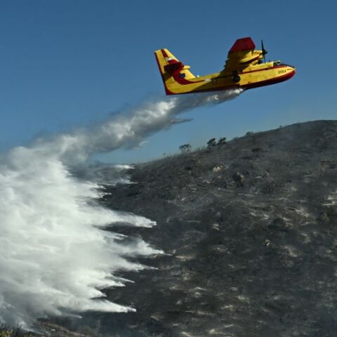 Φωτιά τώρα στη Βοιωτία: Μεγάλη επιχείρηση κατάσβεσης και από αέρος