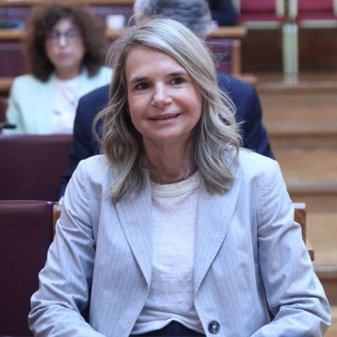 ΠΑΣΟΚ-ΚΙΝΑΛ: Η Μιλένα Αποστολάκη ζητά έκτακτη εισφορά στις τράπεζες και κατάργηση καταχρηστικών προμηθειών, καταγγέλλοντας κυβερνητική απραξία.