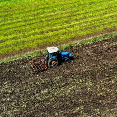 ΟΠΕΚΕΠΕ: Με απλά λόγια