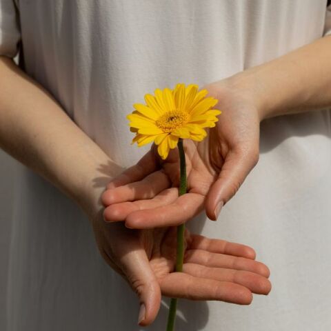 Ποιοι γιορτάζουν σήμερα, Δευτέρα 30 Ιουνίου 2025; Το εορτολόγιο της Athens Voice σου τους θυμίζει. Μην ξεχάσεις να τους δώσεις τις καλύτερες ευχές σου!