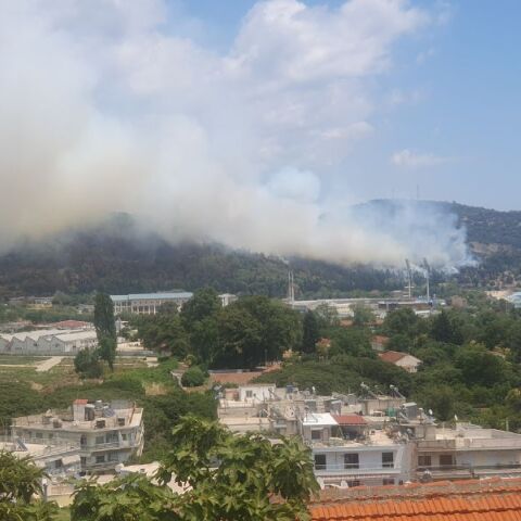 Φωτιά στην Καβάλα πλησιάζει κατοικίες στην Άσπρη Άμμο - Εστάλη μήνυμα 112 στους πολίτες να είναι σε αυξημένη επιφυλακή.