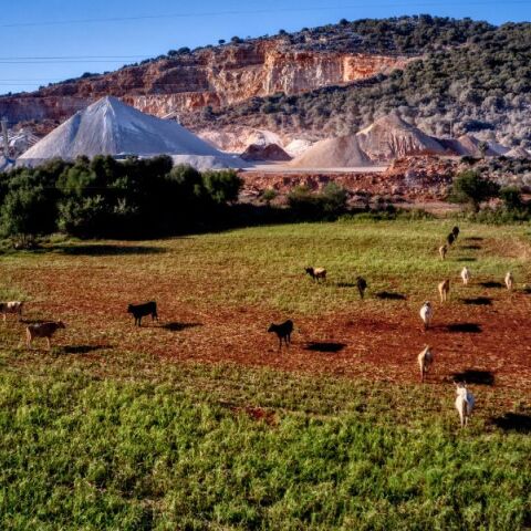 ΟΠΕΚΕΠΕ: Η βολική καραμέλα των «παθογενειών» του συστήματος