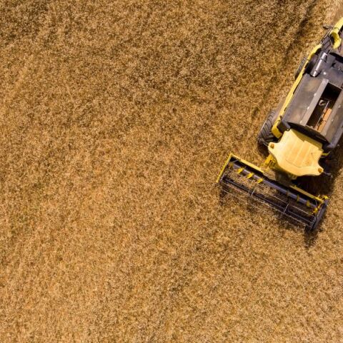 Δεν τα ξέρεις; Έτσι πάνε αυτά