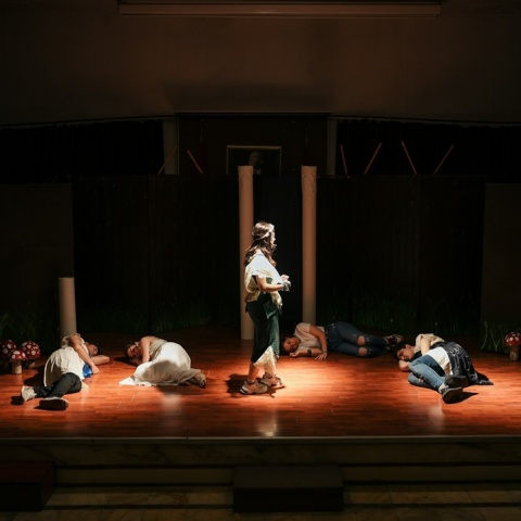 Σκηνή θεάτρου εν ώρα παράστασης