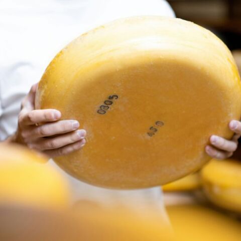 Νέα έρευνα δείχνει ότι τα γαλακτοκομικά, ειδικά σε άτομα με δυσανεξία στη λακτόζη, μπορεί να συνδέονται με πιο έντονους και ενοχλητικούς εφιάλτες.