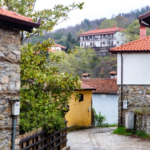 Οικισμός Αγίου Παντελεήμονα Πιερίας - Σπίτια και πλακόστρωτος δρόμος