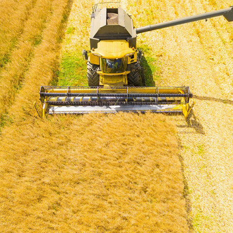 Σκάνδαλο ΟΠΕΚΕΠΕ: Ένα βήμα μπρος, δύο βήματα πίσω