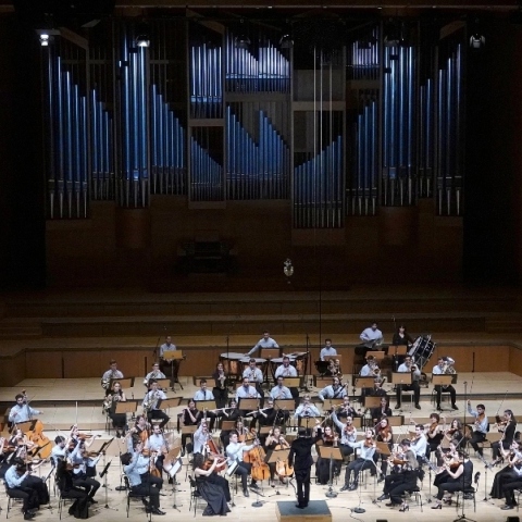 Η ομαδικότητα ως ρίζα του συλλογικού μας προβλήματος