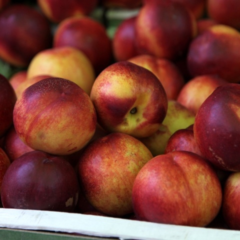 Νεκταρίνια