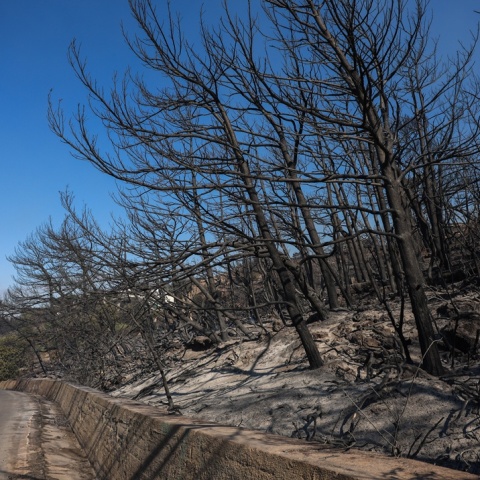Καμένα από τη φωτιά στην Ιεράπετρα