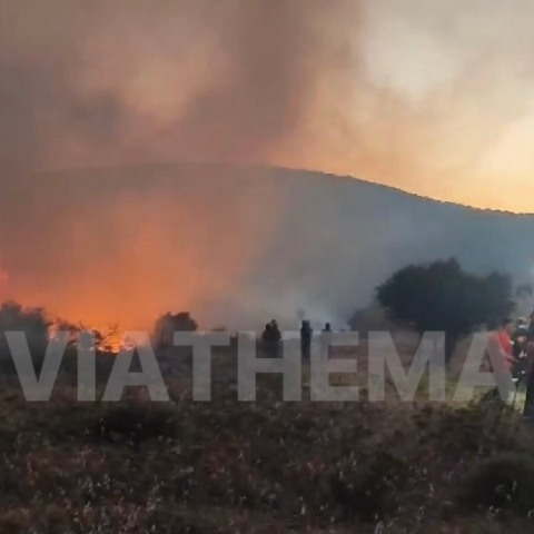 Μαίνεται η φωτιά στην Εύβοια: Ολονύχτια η μάχη των πυροσβεστών - Επιχειρούν εναέρια μέσα