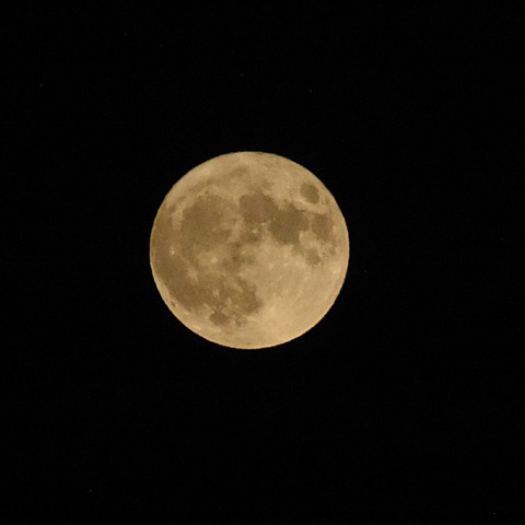 Πανσέληνος Ελαφιού Ιουλίου στον νυχτερινό ουρανό 