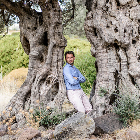 Γιώργος Περρής | Αίγινα