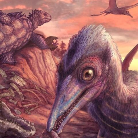 Νέα είδος πτερόσαυρου 209 εκατομμυρίων ετών ανακαλύφθηκε στην Αριζόνα - Είναι το αρχαιότερο ιπτάμενο ερπετό της Βόρειας Αμερικής