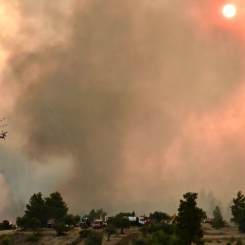 Φωτιά στον Ωρωπό: Απομακρύνθηκαν οι κάτοικοι από τον Ασπροχώρι, κοντά στον οικισμό οι φλόγες
