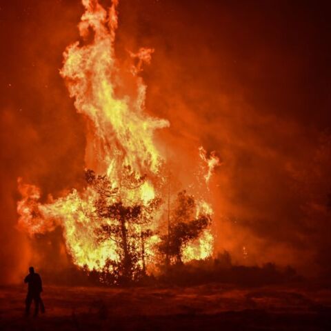 Ανεξέλεγκτη και σε δύο μέτωπα η φωτιά στον Ωρωπό: Συνεχείς αναζωπυρώσεις, πλησιάζουν τα πρώτα σπίτια στο Ασπροχώρι οι φλόγες