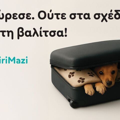 2025_07_07_pet_city_kalokairi_mazi_photo