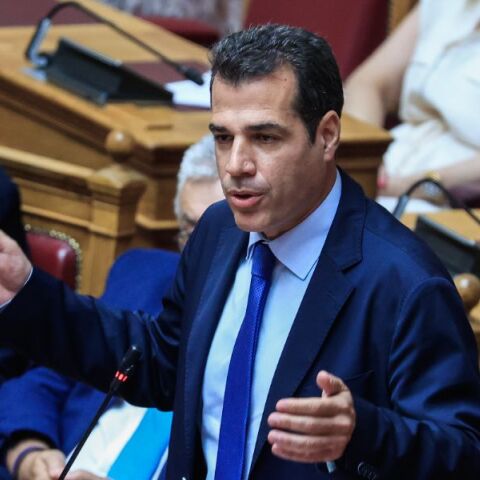 Θάνος Πλεύρης: Φυλακή ή έξοδος από τη χώρα για τους λαθρομετανάστες
