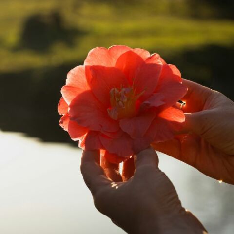 Εορτολόγιο: Ποιοι γιορτάζουν σήμερα 12 Ιουλίου 2025; Η Athens Voice σου τους θυμίζει!