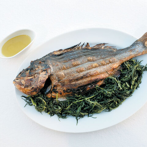 Αυλή - Δονούσα