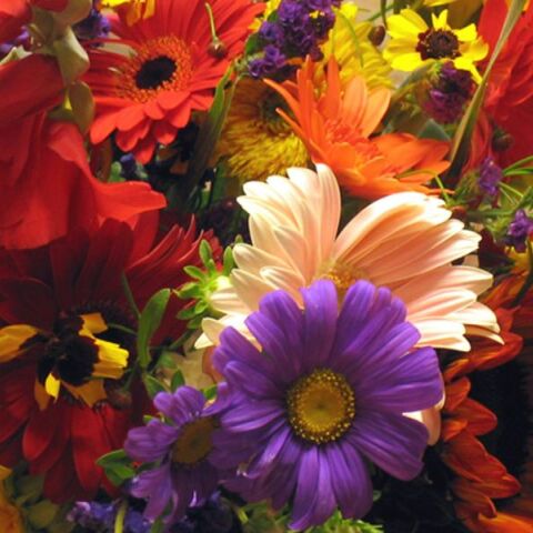 Εορτολόγιο: Σήμερα 16 Ioυλίου 2025 γιορτάζει…