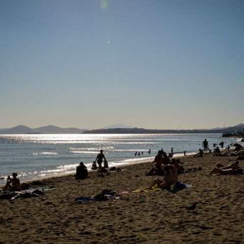 Τι να κάνετε αν σας τσιμπήσουν μωβ μέδουσες - Οι παραλίες όπου χρειάζεται προσοχή