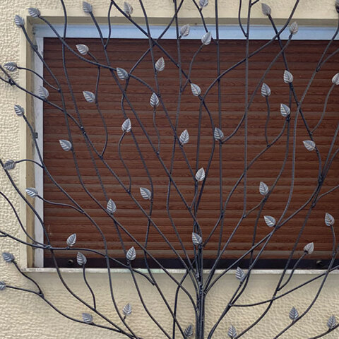 Φτιάξε μου τη μέρα: Το δέντρο της αγάπης σε ένα ισόγειο στην Κυψέλη