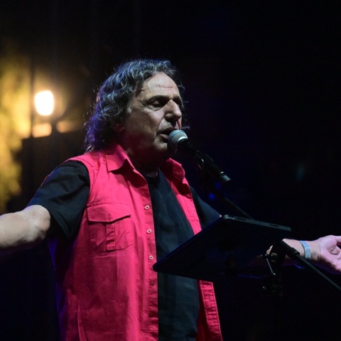 Βασίλης Παπακωνσταντίνου