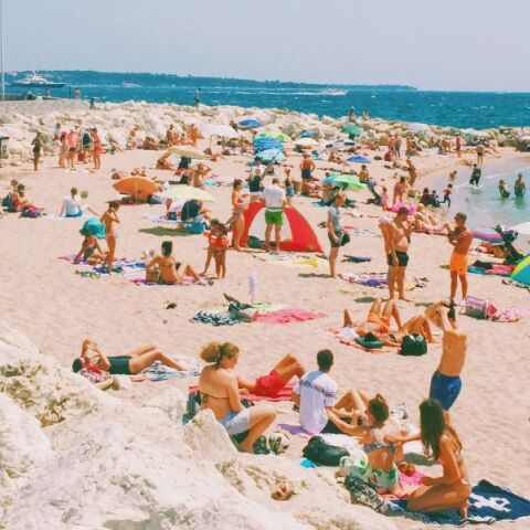 White Lotus στην πραγματική ζωή