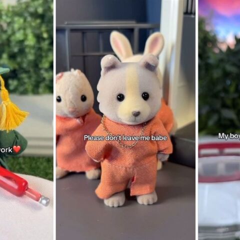 Η Epoch μηνύει TikToker για παρωδίες των Sylvanian Families με ενήλικο περιεχόμενο - Ο λογαριασμός με 2,5 εκατ. ακόλουθους στα social media προκαλεί αντιδράσεις