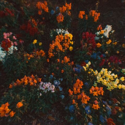 Εορτολόγιο