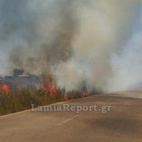 Φωτιά στον παράδρομο της εθνικής οδού Αθηνών - Λαμίας στη Θήβα