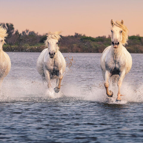 Ένα φωτογραφικό ταξίδι στη Νότια Γαλλία μέσα από τη ματιά του Γιάννη Λάριου
