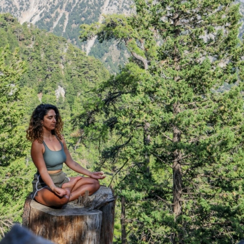 Διαλογισμός