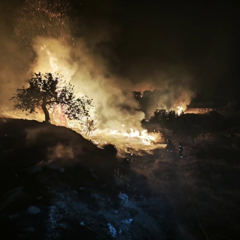 Φωτιά τώρα στην Κύπρο