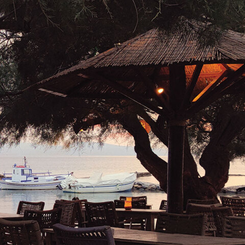 Όστρια: Γεύσεις Ελλάδας και φιλική ατμόσφαιρα στην Αίγινα