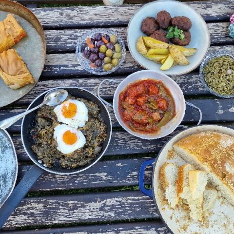 Φάρμα Καραΐσκου, Πήλιο