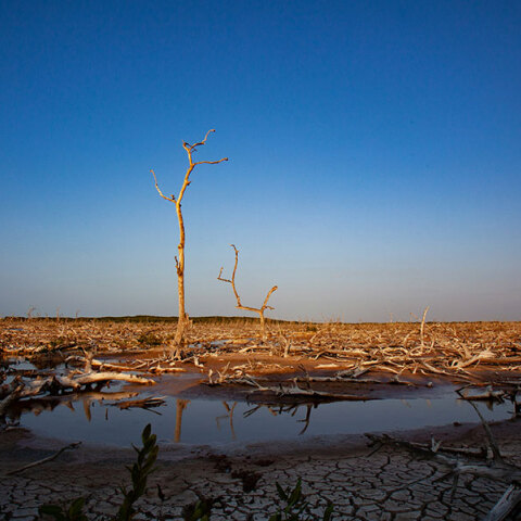 Η λειψυδρία στον κόσμο: Υπερπληθυσμός, κλιματική κρίση, έλλειψη υποδομών