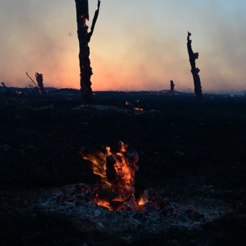  Χωρίς ενεργό μέτωπο η φωτιά στη Δροσοπηγή Αττικής 