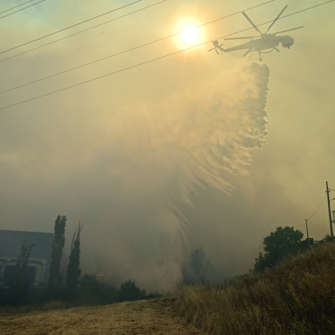 Φωτιά τώρα στις Αφίδνες -  Μεγάλο το μέτωπο