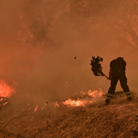 Καλύτερη η εικόνα της φωτιάς στις Αφίδνες: Έπεσε η ένταση του ανέμου - Μάχη για να μην περάσει η φωτιά στην Πάρνηθα