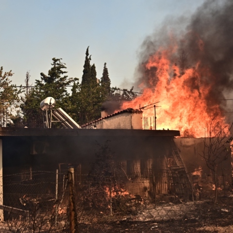 Καίγονται σπίτια στο Κρυονέρι - Ανεξέλεγκτο το μέτωπο της φωτιάς