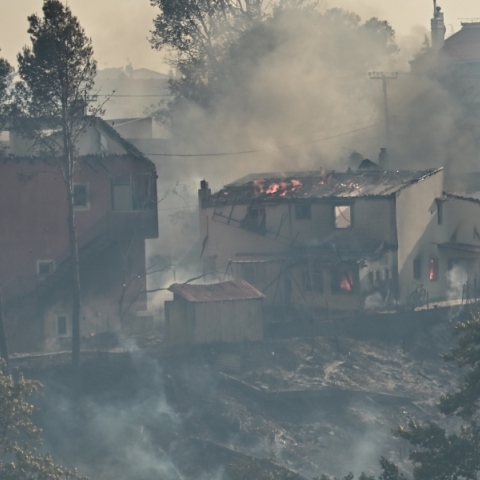 Αίτημα ευρωπαϊκής συνδρομής για τις μεγάλες φωτιές σε Αττική, Εύβοια, Μεσσηνία και Κύθηρα από την κυβέρνηση