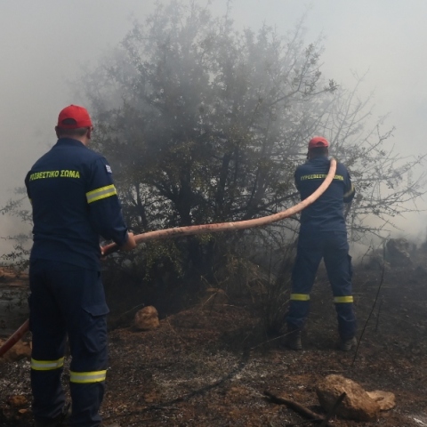 Νέες φωτιές σε Λακωνία και Χανιά - Ήχησε το 112 για εκκένωση 5 περιοχών
